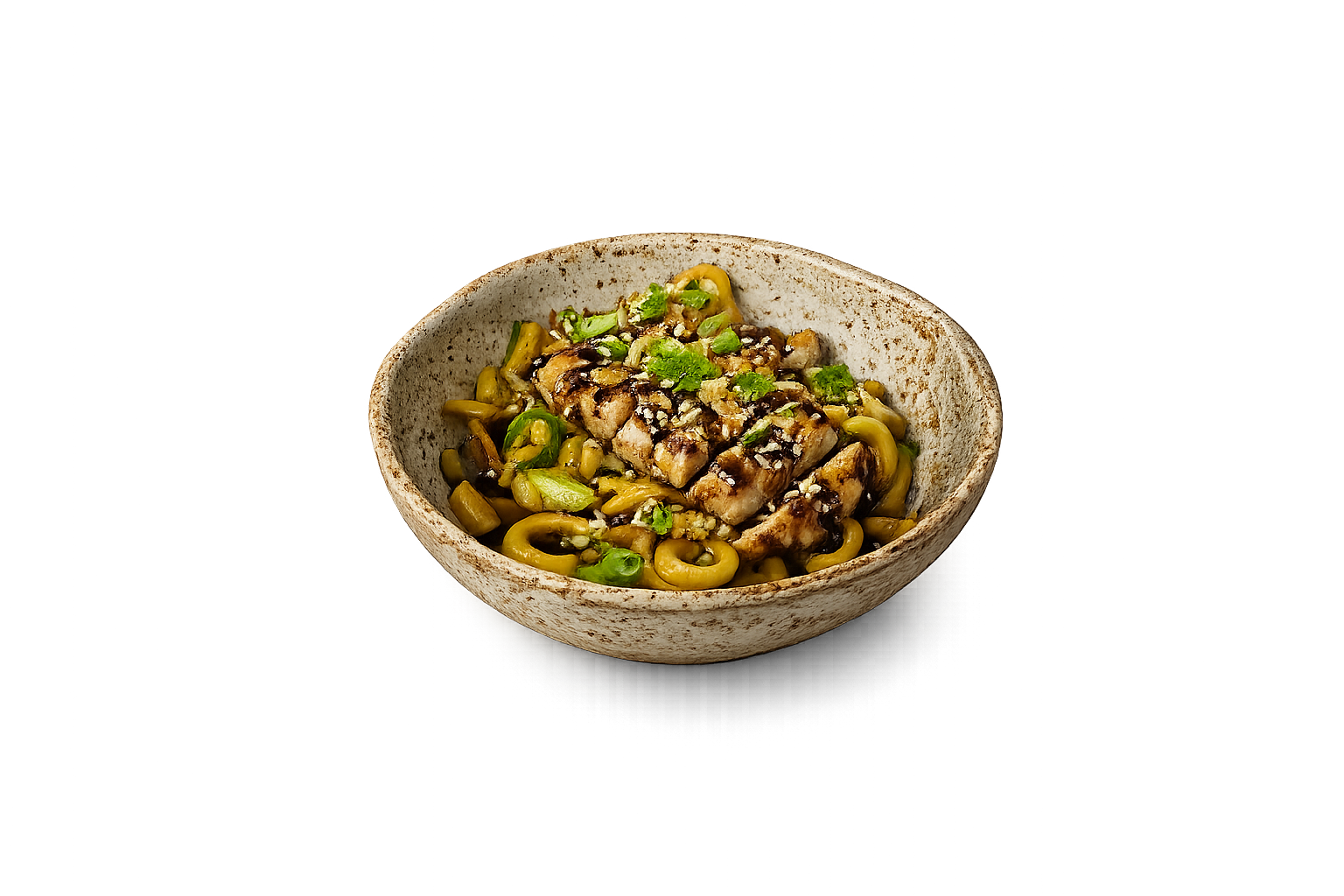 Poulet Teriyaki